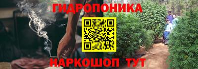 гашик Новокубанск