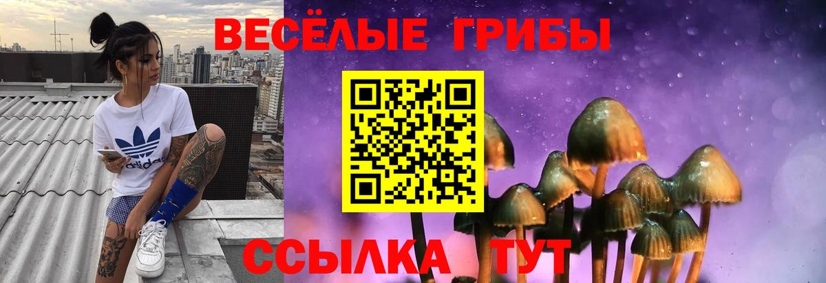 Галлюциногенные грибы прущие грибы Волгоград