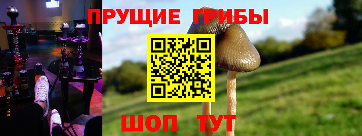 Волгоград  Галлюциногенные грибы MAGIC MUSHROOMS  Галлюциногенные грибы GOLDEN TEACHER  Вход с VPN 